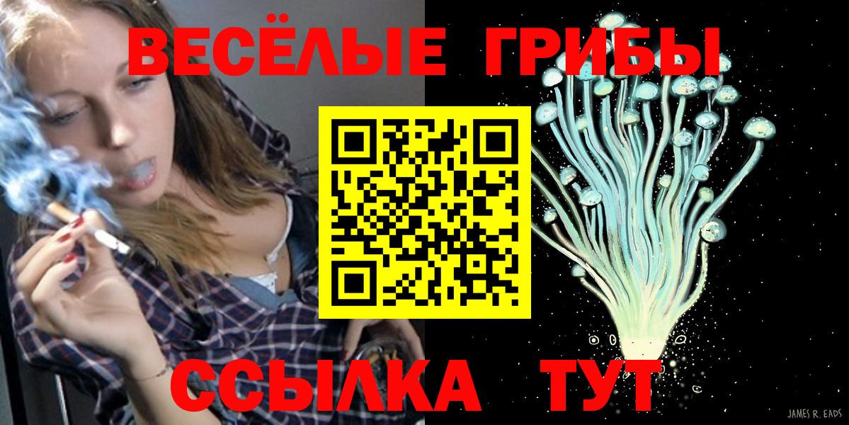 закладка  Галлюциногенные грибы Cubensis  Дедовск  Вход с VPN  Псилоцибиновые грибы мицелий 